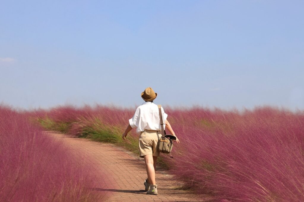 nature-woman-travel-7189418 nature, woman, travel-7189418.jpg